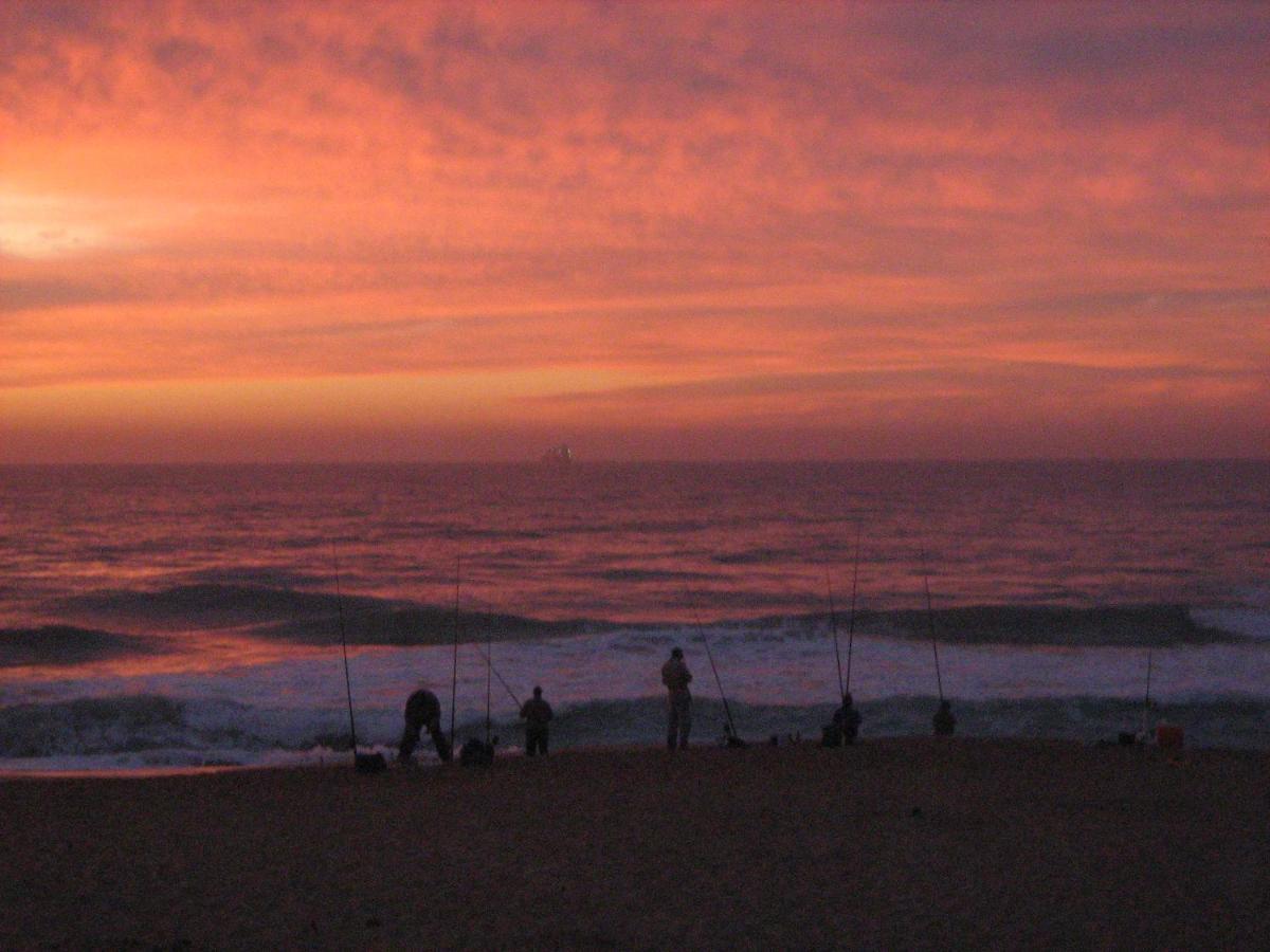Glenashley Beach Accommodation - B&B And Backpackers 다반 외부 사진